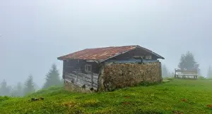 Forest District Prints: SAL PLATEAU in Camlihemsin district of Rize province