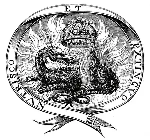Reptiles Prints: Salamander in the fire