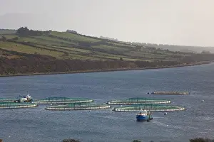 Donegal Prints: Salmon fish farm. Hordaland, Norway
