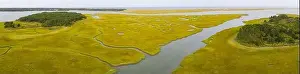 Salt marshes and estuaries are found throughout Cape Cod, Massachusetts. They provide calm nesting, feeding and breeding habitat for many species