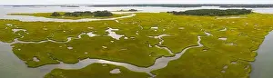 Salt marshes and estuaries are found throughout Cape Cod, Massachusetts. They provide calm nesting, feeding and breeding habitat for many species