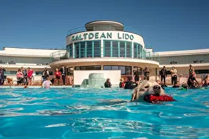 Hounds Prints: Saltdean, September 28th 2024