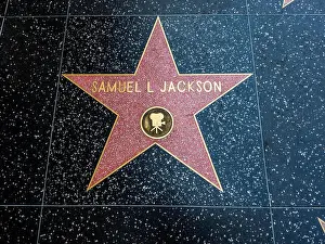 Boulevard Prints: Samuel L Jackson's Star, Hollywood Walk of Fame - August 11th