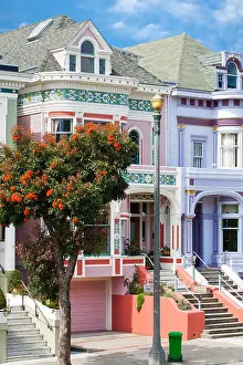 Beloved Prints: San Francisco painted ladies Victorian houses in pink and lavender
