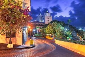 Trees Collection: San Juan, Puerto Rico streets and cityscape at night