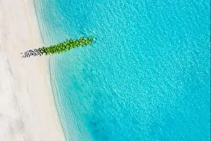 Young Beauty Prints: Sand beach aerial, top view of a beautiful sandy beach aerial shot with the blue waves rolling into the shore
