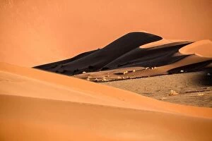 Desert Collection: Sand Dune abstract