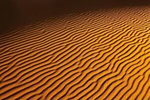 Images Dated 2nd December 2010: Sand dune background in Sahara Desert at sunset