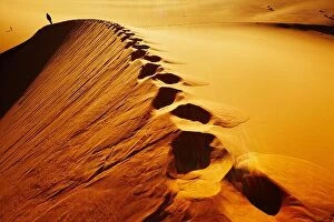 Images Dated 2nd December 2010: Sand dune climbing, sunrise, Sahara Desert, Algeria