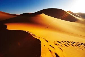Images Dated 2nd December 2010: Sand dune with footprints at sunrise, Sahara Desert, Algeria