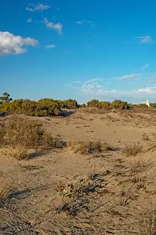 Huelva Prints: sand dunes at the beach near Isla Cristina at the Costa de la Luz in Andalusia