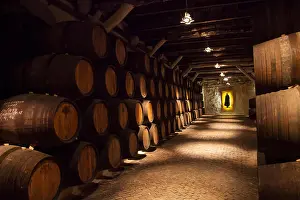 Tasting Prints: Sandeman Port Wine Cellars in Porto, Portugal