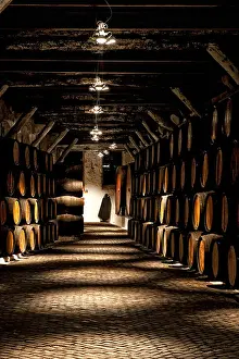 Sandeman storehouse, Barrels, Vila Nova de Gaia, Porto, Portugal
