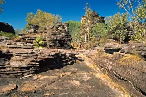 Boulders Prints: Sandstone forest at Ubirr, Kakadu national park, Northern Territory, Australia