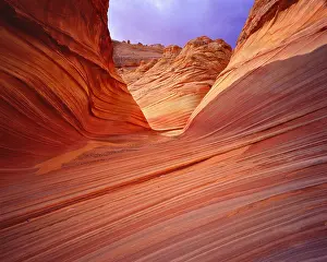Vivid Color Prints: Sandstone wave in Paria Wilderness area