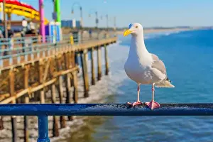 Santa Monica Prints: Santa Monica, California - January 16
