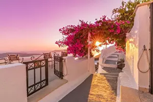 Santorini island sunset. Caldera view with street and flowers, romantic mood, couple travel vacation landscape destination scenic. Love wallpaper