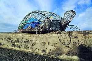 Protecting Prints: Sao Miguel Island, Azores, Portugal. Turtle and garbage