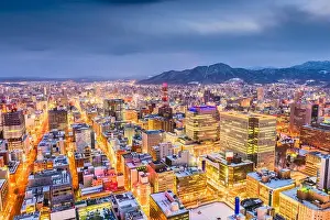 Sapporo, Hokkaido, Japan downtown skyline from above at twilight