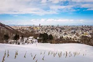 Sapporo, Japan cityscape from Asahiyama Memorial Park in winter