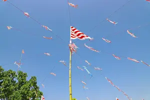 Tribal Culture Prints: Sarna flag on the sky