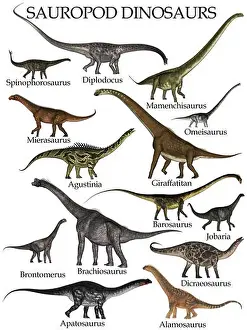 Prehistory Prints: Sauropod dinosaurs set - 3D render