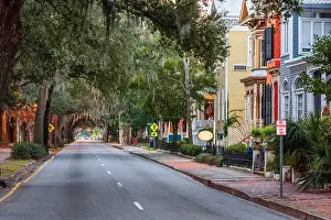 Savannah, Georgia, USA downtown historic views along Whitaker Street