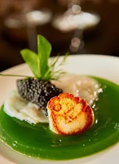 Ready To Eat Prints: Scallop with caviar and kiwi jelly on plate