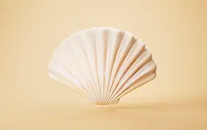 Empty Shell Prints: Scallop shell with cartoon style, 3d rendering. 3D illustration