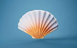 Cockleshell Prints: Scallop shell with cartoon style, 3d rendering. 3D illustration