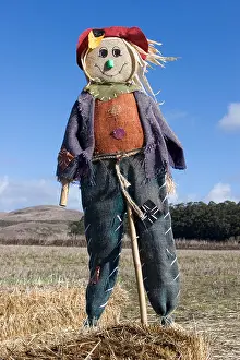 Big Sur Prints: Scarecrow California