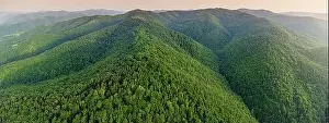 Carpathians Prints: Scenic aerial landscape of the Carpathian mountains and rainforest