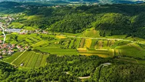 Scenic Aerial Shot of Rolling Vineyards in Vipava Valley, Slovenia