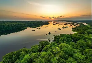 Amazon Rainforest Prints: Scenic aerial sunset view of rainforest water jungle in Amazonas state Brazil