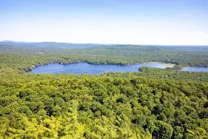 Scenic aerial view of a blue lake with pine trees coast line