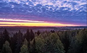 Scenic colorful sunrise view with wetland landscape against pink sky at autumn morning in Torronsuo, Finland