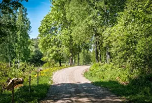 Scenic countryside landscape with curvy road and fence at sunny summer day at Finland