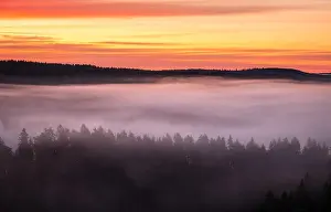 Scenic foggy landscape with mood forest at summer morning at National park, Finland. High angle aerial view