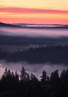 Scenic foggy landscape with mood forest at summer morning at National park, Finland. High angle aerial view