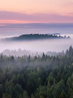 Scenic foggy landscape with mood forest at summer morning at National park, Finland. High angle aerial view