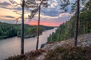 Summer Hill Prints: Scenic forest landscape with tarnquil mood and idyllic sunset at summer evening in Finland