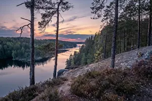 Scenic forest landscape with tarnquil mood and idyllic sunset at summer evening in Finland