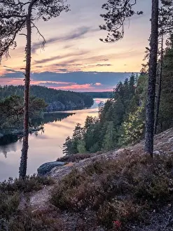 Scenic forest landscape with tarnquil mood and idyllic sunset at summer evening in Finland