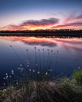 Scenic lake view with flowers and sunset at peaceful evening in Finland