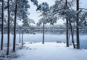 White River Prints: Scenic landscape with forest and lake at winter evening in Finland