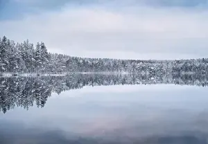 Scenic landscape with forest and lake at winter evening in Finland