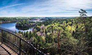Lake Forest Prints: Scenic landscape with lake and bright summer day in national park