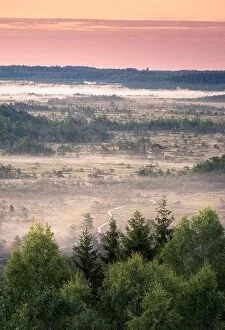 Images Dated 16th July 2017: Scenic landscape with morning light and foggy forest at swamp in National Park, Torronsuo, Finland