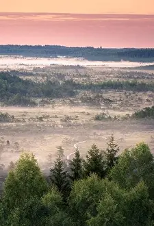 Scenic landscape with morning light and foggy forest at swamp in National Park, Torronsuo, Finland