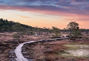 Images Dated 4th June 2017: Scenic landscape at summer night in the swamp, National Park, Torronsuo, Finland